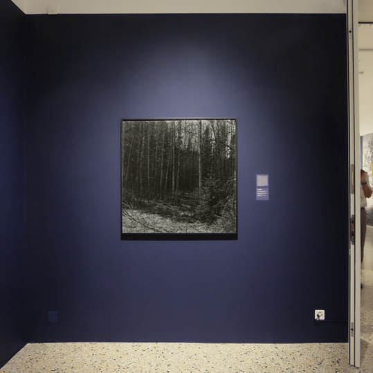 Claude Cortinovis