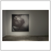 Claude Cortinovis