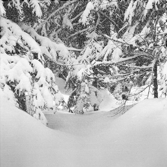 Claude Cortinovis